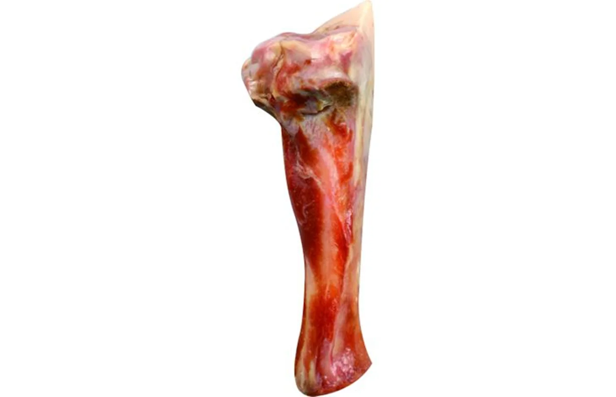 استخوان طبیعی خوک فلامینگو Flamingo Ham bone